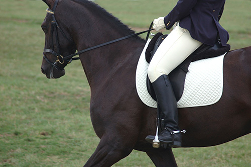 Dunkles Pferd mit Reiterin offensichtlich in einer Turniersituation. Die Reiterin trägt Sporen und führt das Pferd mit harter Hand.