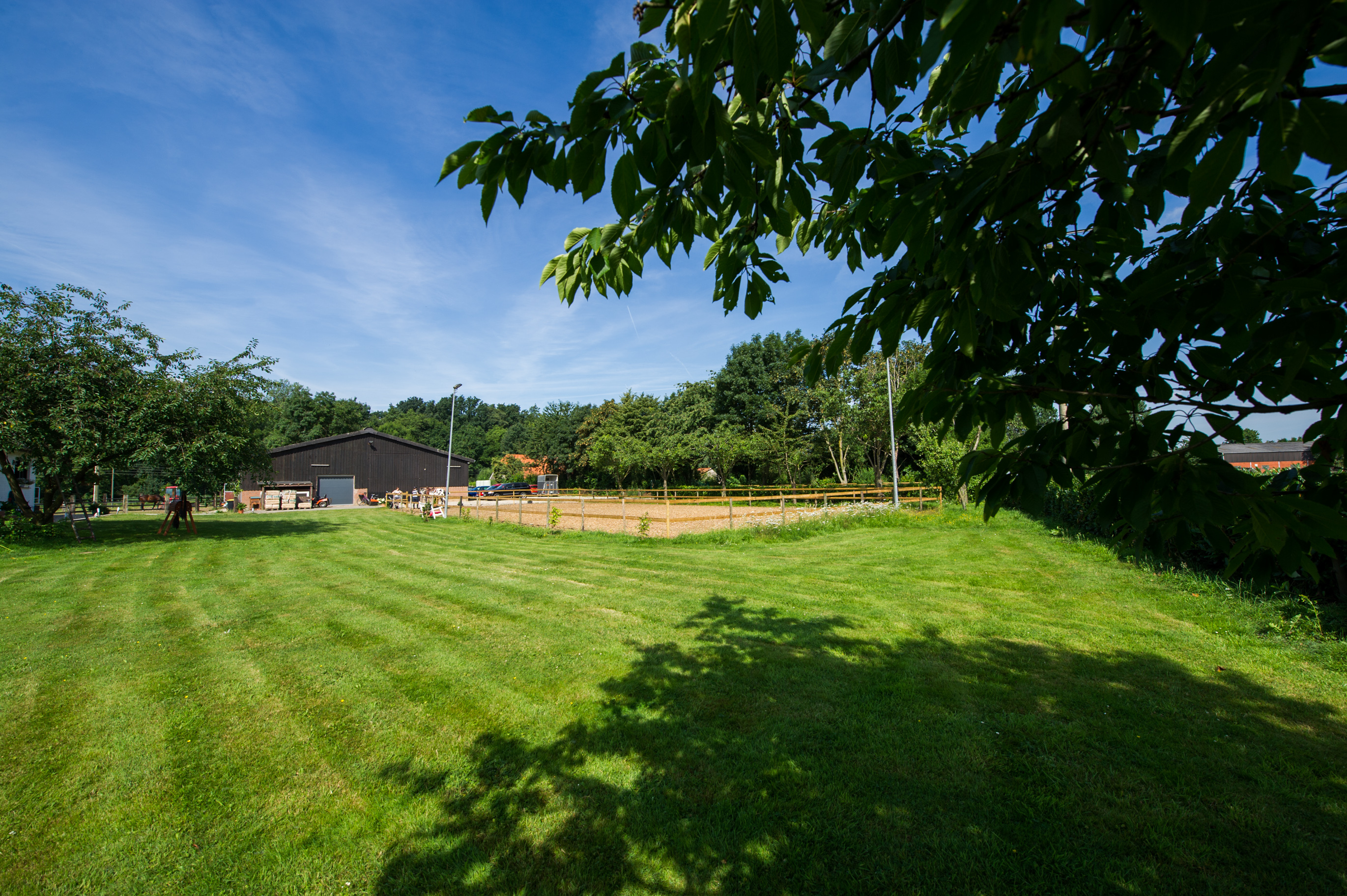 Blick auf das Zentrum für ARR: ein kleiner Reiterhof mit einem Reitplatz umgeben von saftig grünen Weiden und Baumbestand.