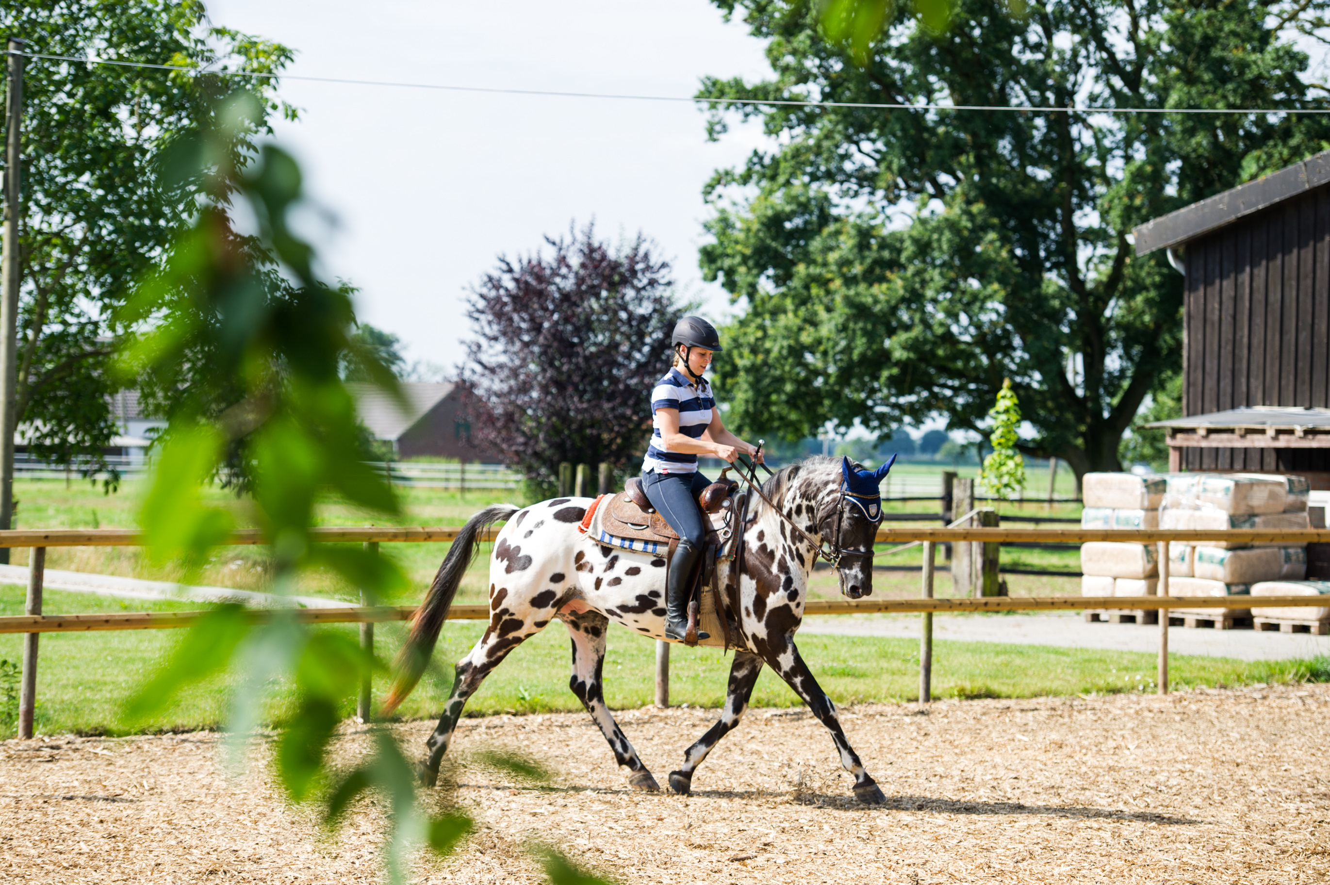 Junge, sportliche Reiterin reitet ein Pferd mit Westernsattel auf dem Reitplatz des Zentrums für ARR.